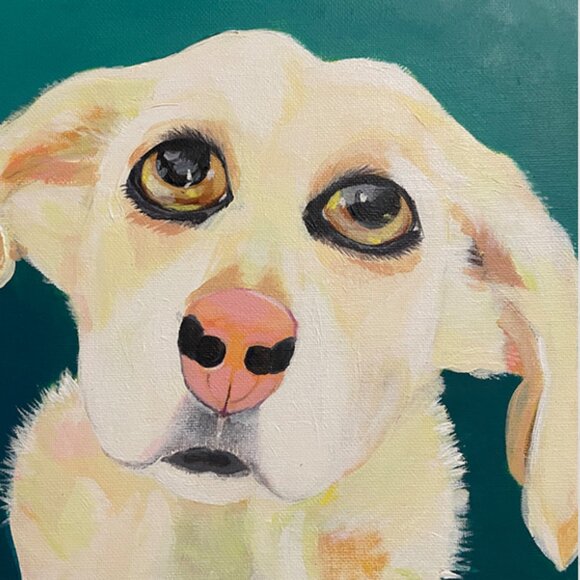 Meet your Posher, Jacqueline - Picture 4 of 4